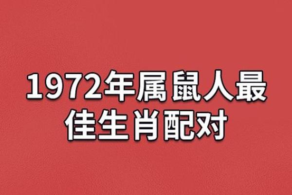 08年属鼠男与12年属龙女的婚配关系与契合度