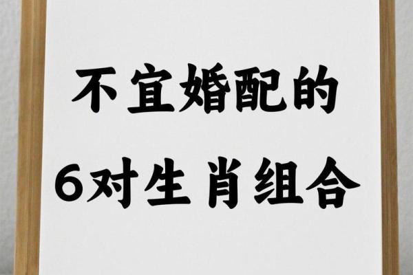 00年属龙男和03年属羊女般配吗(00年属龙男与03年属羊女的匹配程度如何)