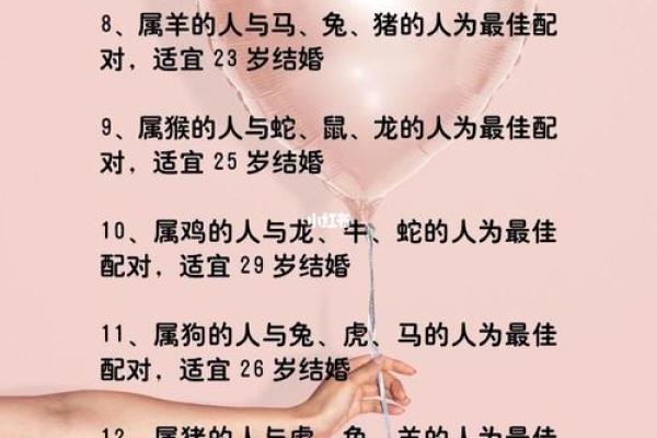 生肖兔和属鼠的区别 生肖兔与属鼠的不同之处